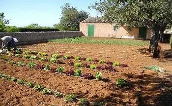 Casa Rural Son Bernadinet Guest House Campos Country house Campos (Mallorca)